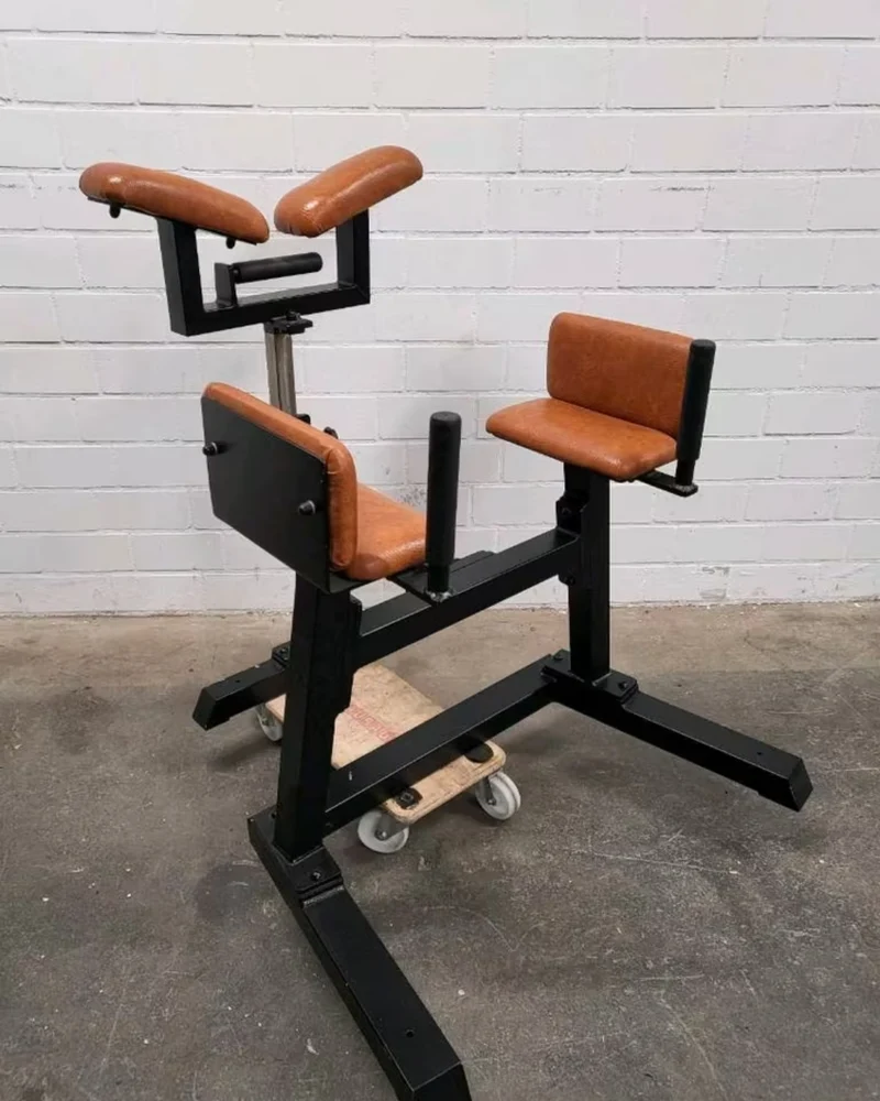 Gym80 Reverse Hyperextension
