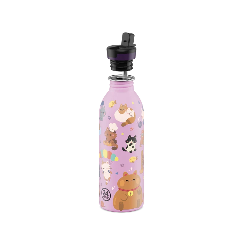 Kids Bottle | Meow Friends - 500 ml