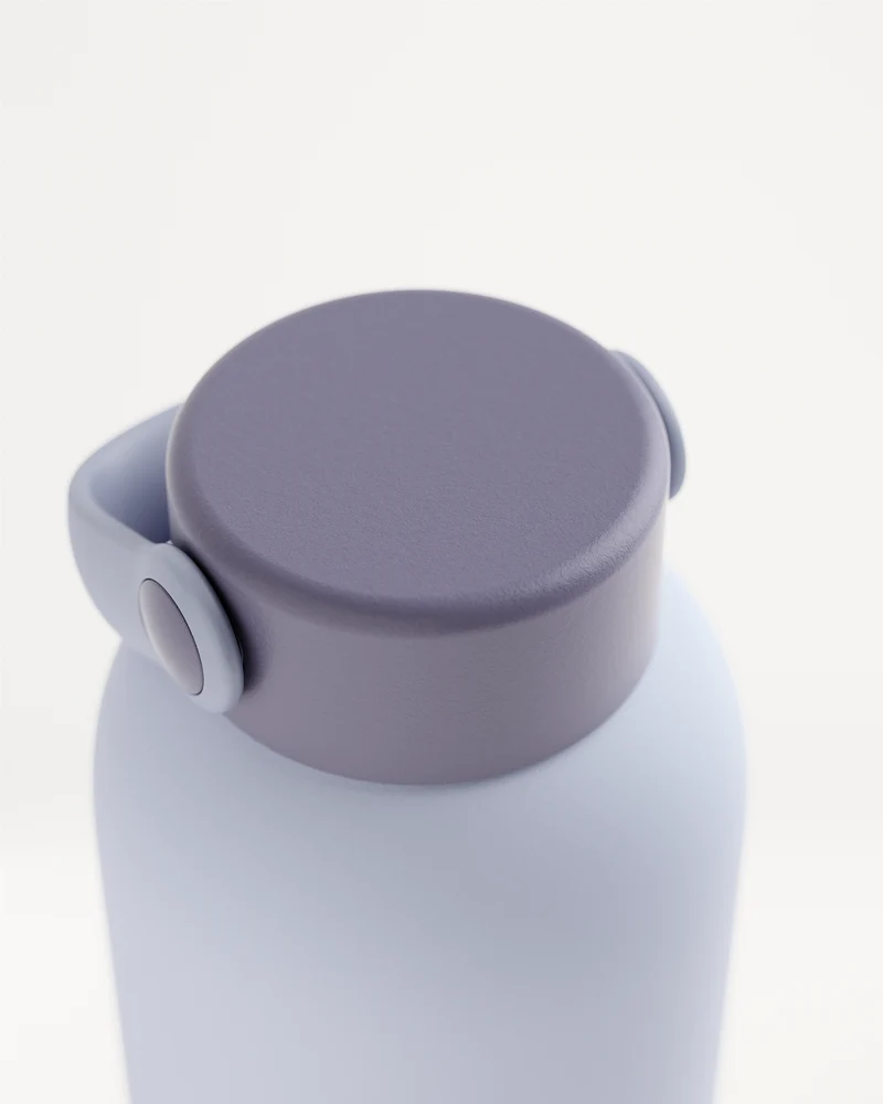 Thermo Steel Bottle · Carry Cap