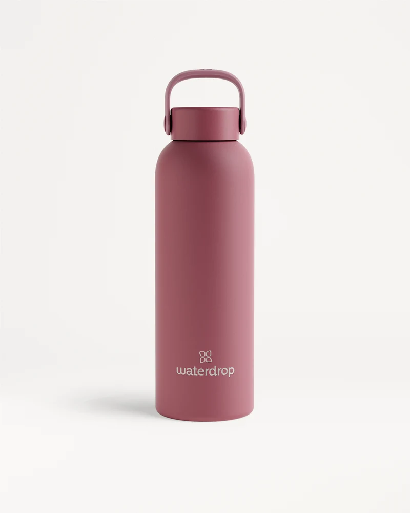 Thermo Steel Bottle · Carry Cap