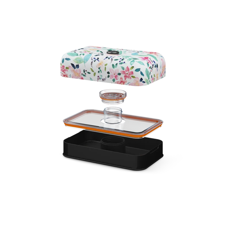 Lunch box | Little Buds