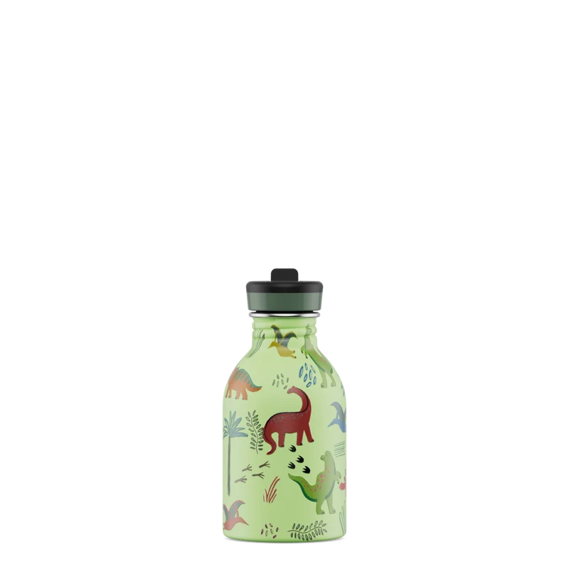 Kids Bottle | Jurassic Friends - 250 ml
