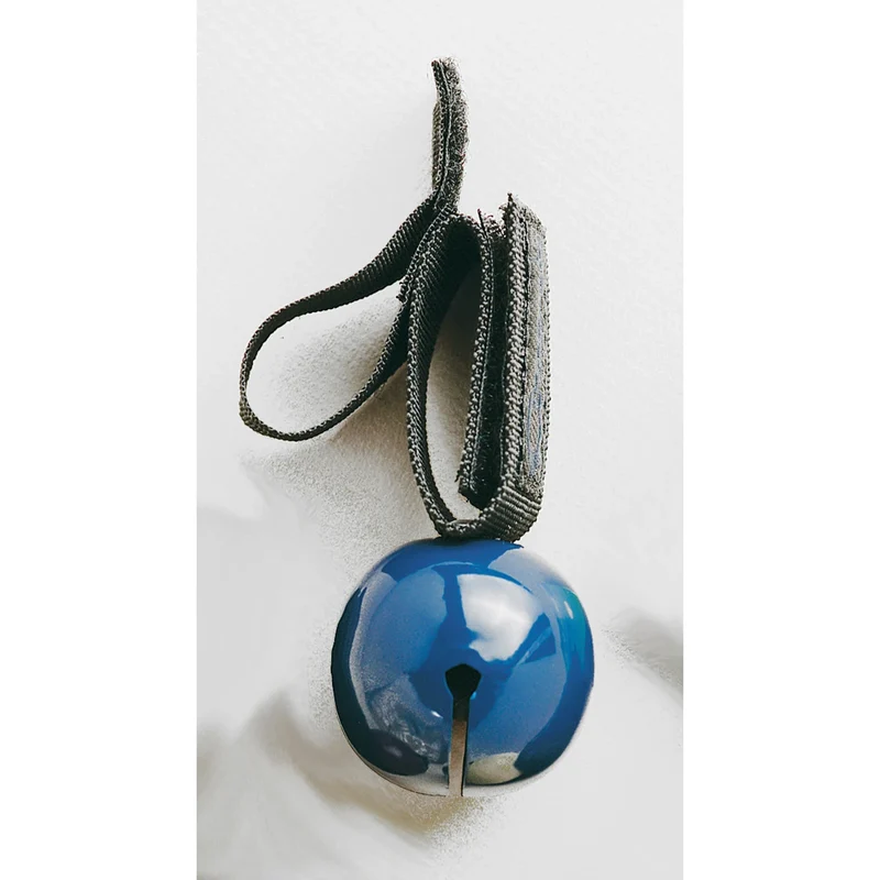 Coghlan's Bärenglocke Blue
