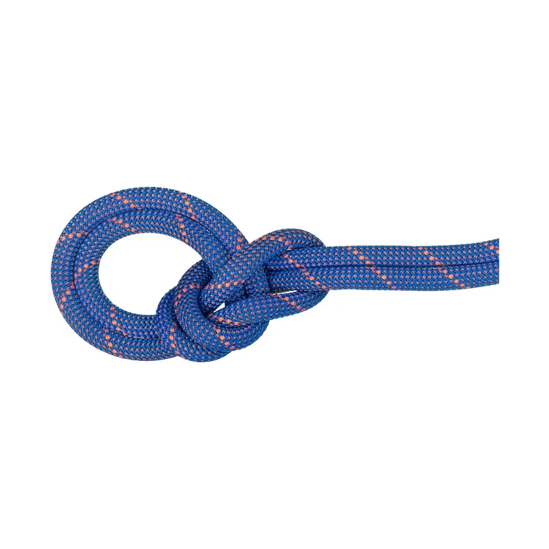 Mammut Crag Sender Dry 9,0 100m Blue, Performance-Kletterseil für lange Routen und Alpin