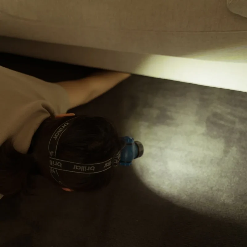 Blue Brillar 3-Mode Headlamp