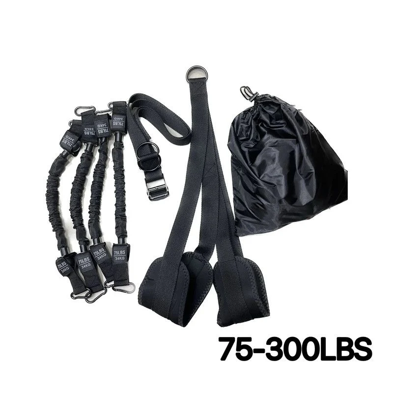 Pull-Up Assistance Bands Set 300LB Resistance Black