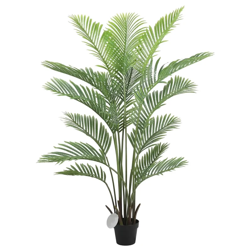 Premium Areca Palm Tree & Render Pot Bundle