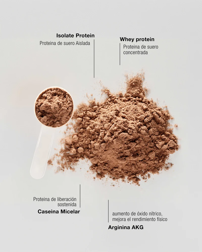 MULTIPHASE PROTEIN PUDDING - Batido Proteico