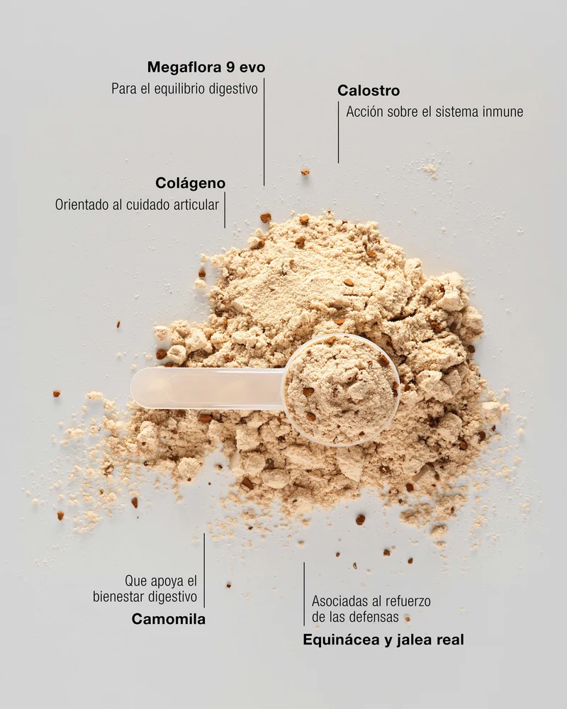IMMUNE WHEY PROTEIN - Batido Proteico en Polvo