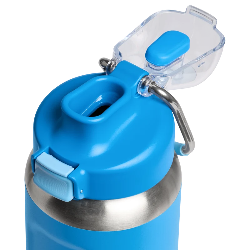 Classic Wellspring Bottle | 0.71L - Stanley Create