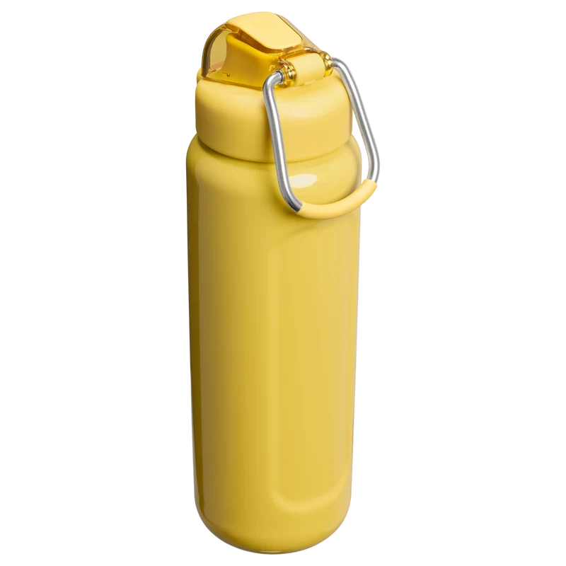 Classic Wellspring Bottle | 0.71L - Stanley Create