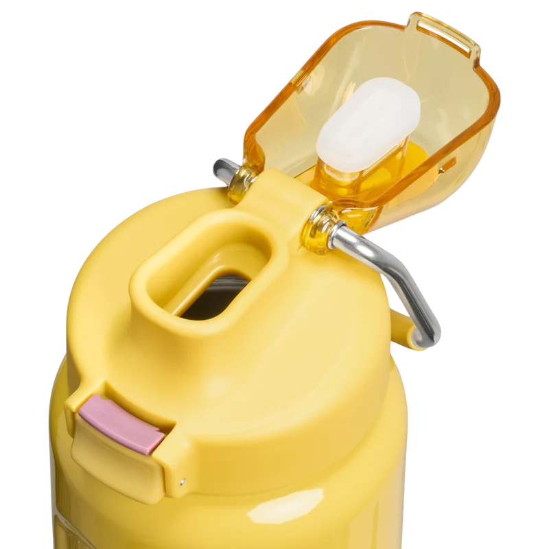 Classic Wellspring Bottle | 0.71L - Stanley Create