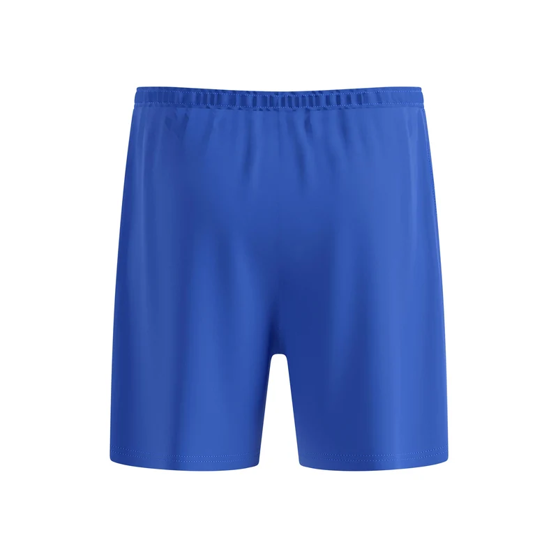 Essential 6in 2in1 Laufshorts Herren-blau, blau